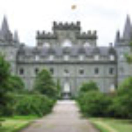 Lake Bhaji Pav & China King